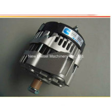 220236 Diesel Motor Lichtmaschine Assy